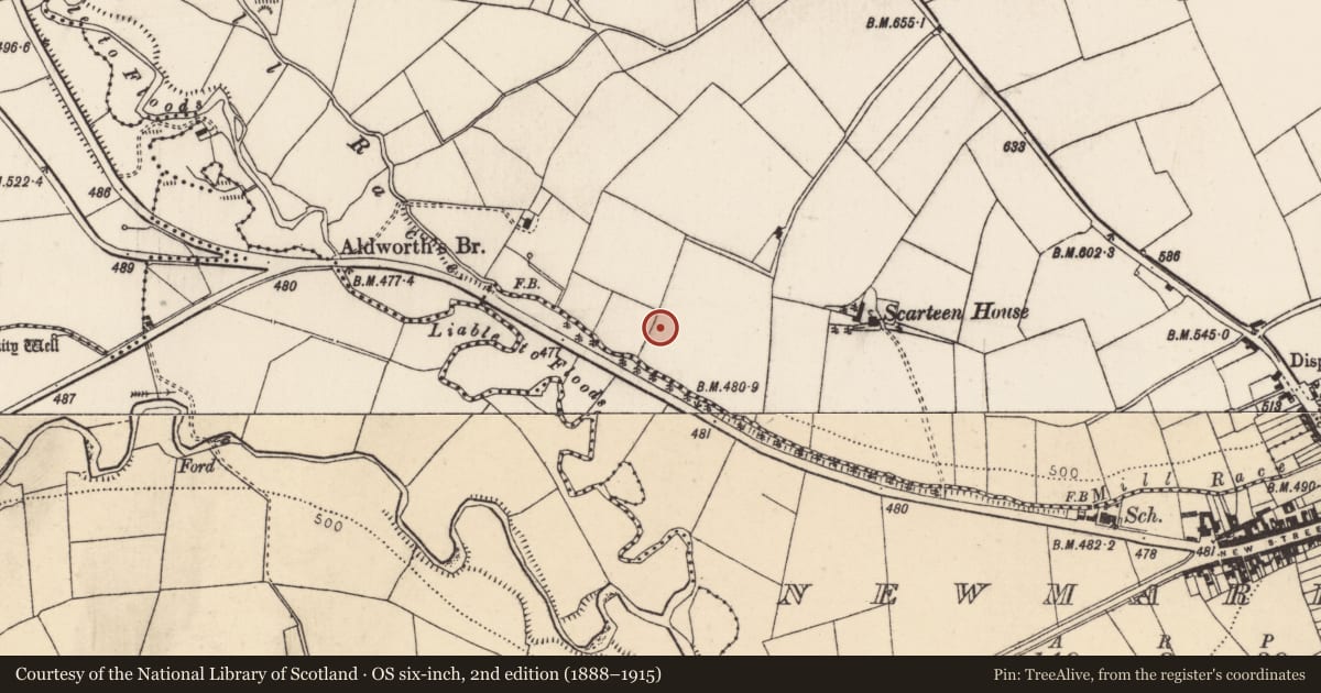 Ordnance Survey six-inch map, 2nd edition (1888–1915) covering the location of Enclosure, Scarteen Lower, County Cork, with a pin at the register's coordinates