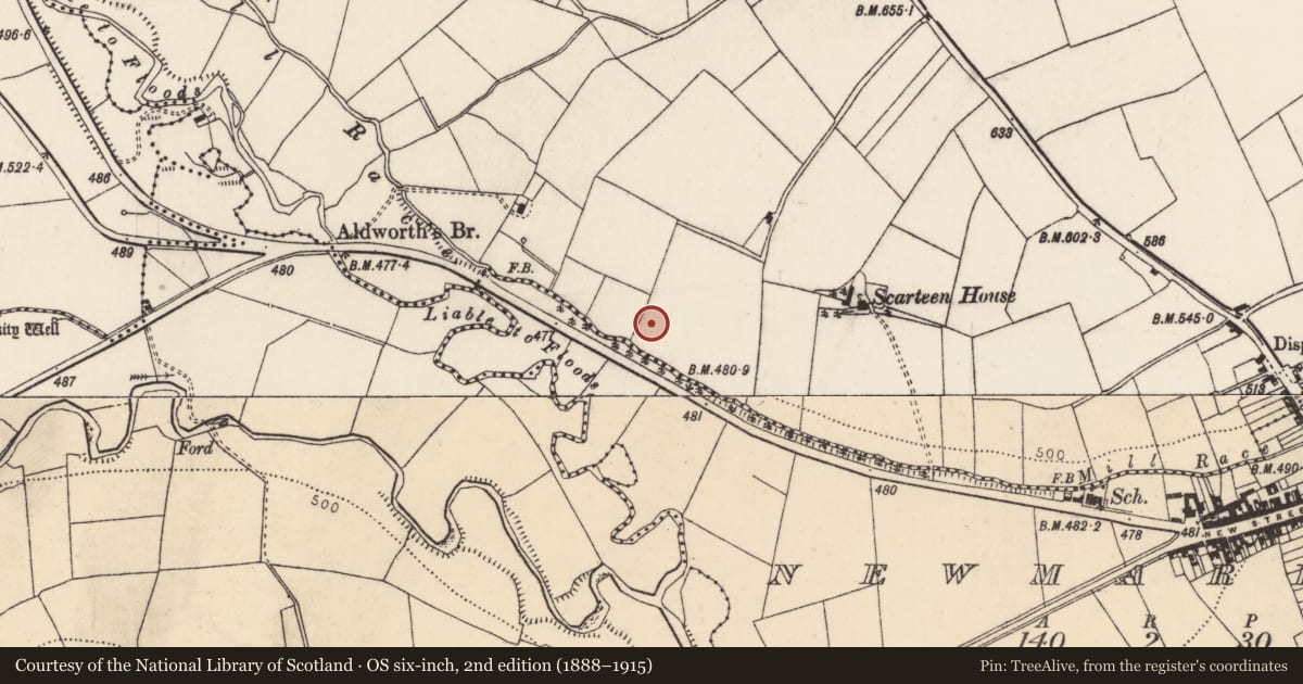 Ordnance Survey six-inch map, 2nd edition (1888–1915) covering the location of Fulacht fia, Scarteen Lower, County Cork, with a pin at the register's coordinates