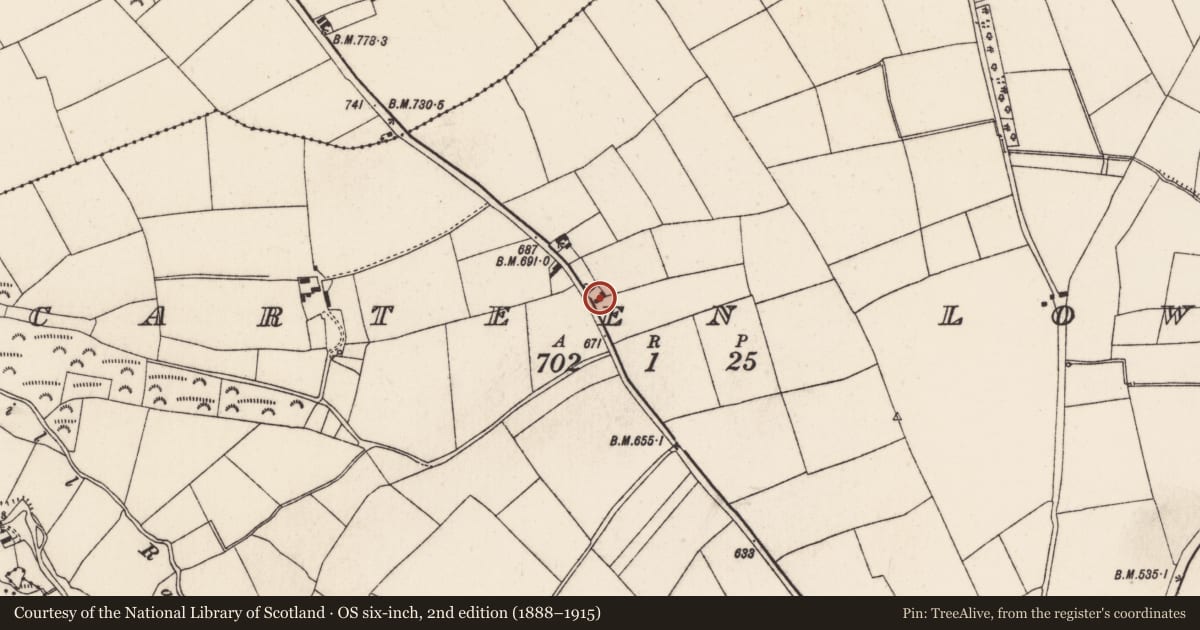 Ordnance Survey six-inch map, 2nd edition (1888–1915) covering the location of House - vernacular house, Scarteen Lower, County Cork, with a pin at the register's coordinates