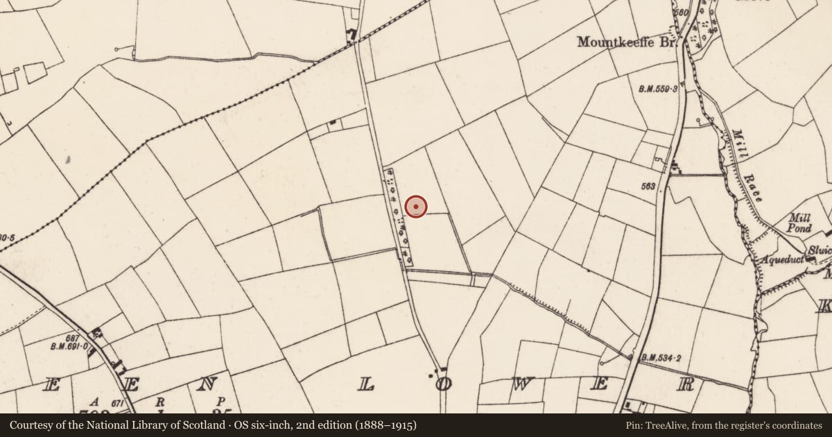 Ordnance Survey six-inch map, 2nd edition (1888–1915) covering the location of Fulacht fia, Scarteen Lower, County Cork, with a pin at the register's coordinates