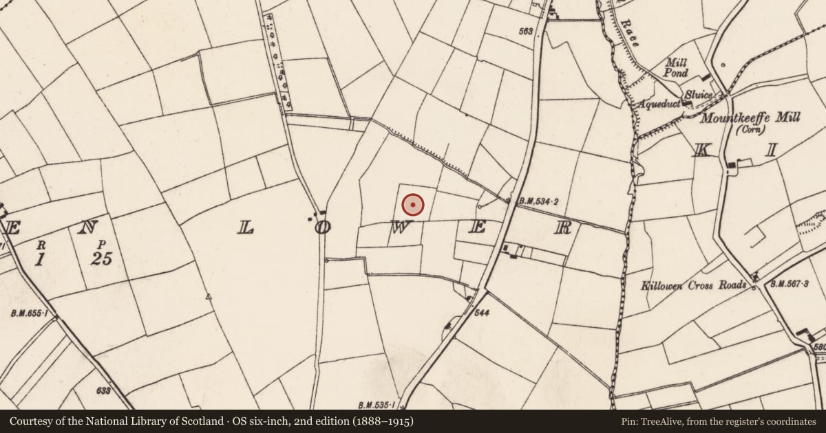 Ordnance Survey six-inch map, 2nd edition (1888–1915) covering the location of Fulacht fia, Scarteen Lower, County Cork, with a pin at the register's coordinates