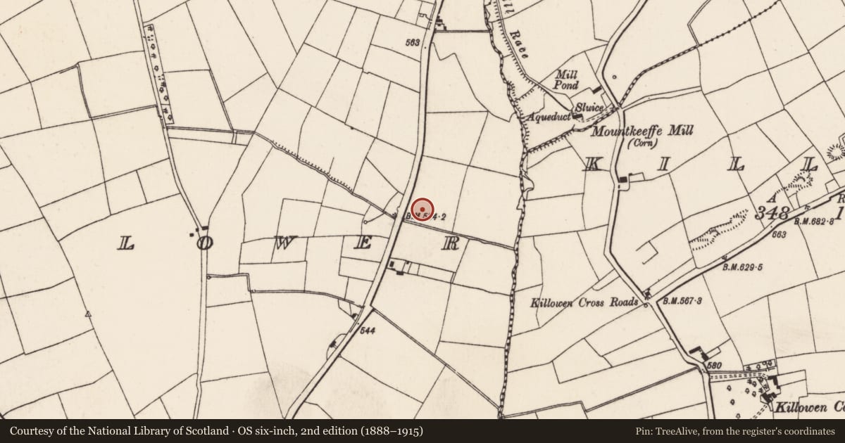 Ordnance Survey six-inch map, 2nd edition (1888–1915) covering the location of Kiln - lime, Scarteen Lower, County Cork, with a pin at the register's coordinates