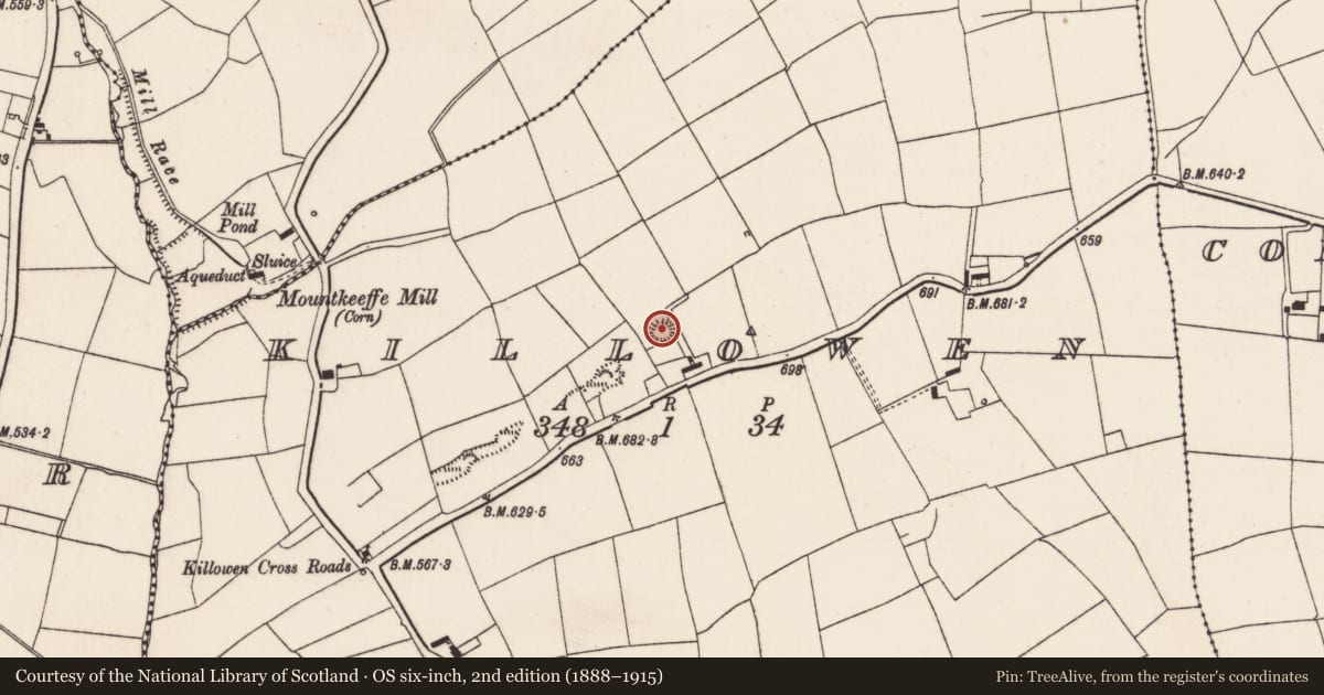 Ordnance Survey six-inch map, 2nd edition (1888–1915) covering the location of Ringfort - rath, Killowen, County Cork, with a pin at the register's coordinates