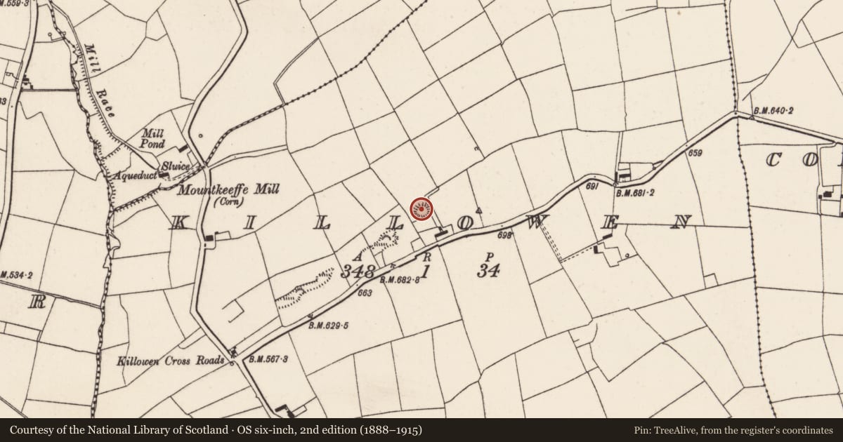 Ordnance Survey six-inch map, 2nd edition (1888–1915) covering the location of Church, Killowen, County Cork, with a pin at the register's coordinates