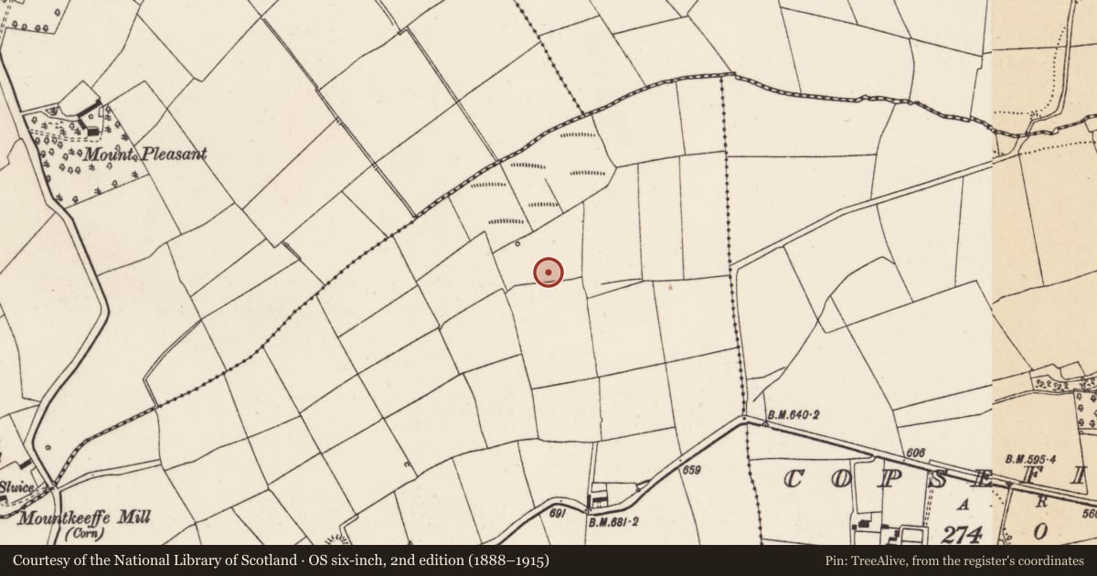 Ordnance Survey six-inch map, 2nd edition (1888–1915) covering the location of Fulacht fia, Killowen, County Cork, with a pin at the register's coordinates
