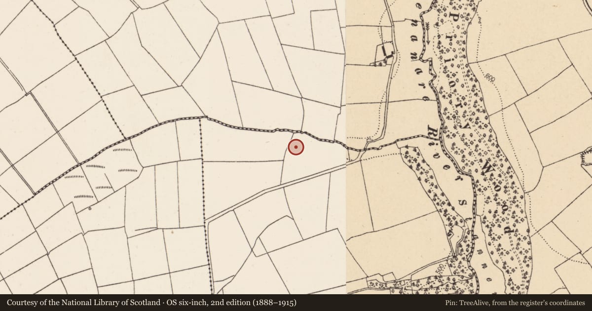 Ordnance Survey six-inch map, 2nd edition (1888–1915) covering the location of Fulacht fia, Copsefield, County Cork, with a pin at the register's coordinates