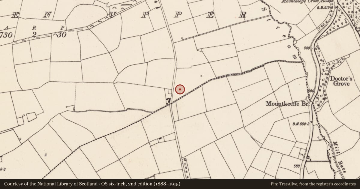 Ordnance Survey six-inch map, 2nd edition (1888–1915) covering the location of Fulacht fia, Scarteen Upper, County Cork, with a pin at the register's coordinates