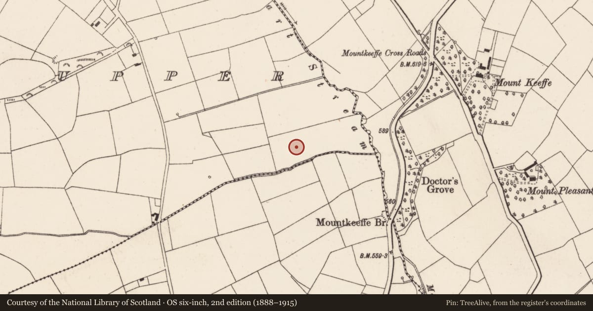 Ordnance Survey six-inch map, 2nd edition (1888–1915) covering the location of Church, Scarteen Upper, County Cork, with a pin at the register's coordinates