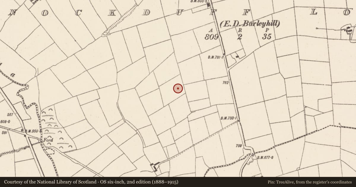 Ordnance Survey six-inch map, 2nd edition (1888–1915) covering the location of Fulacht fia, Knockduff Lower (Duhallow By., Clonfert Par.), County Cork, with a pin at the register's coordinates