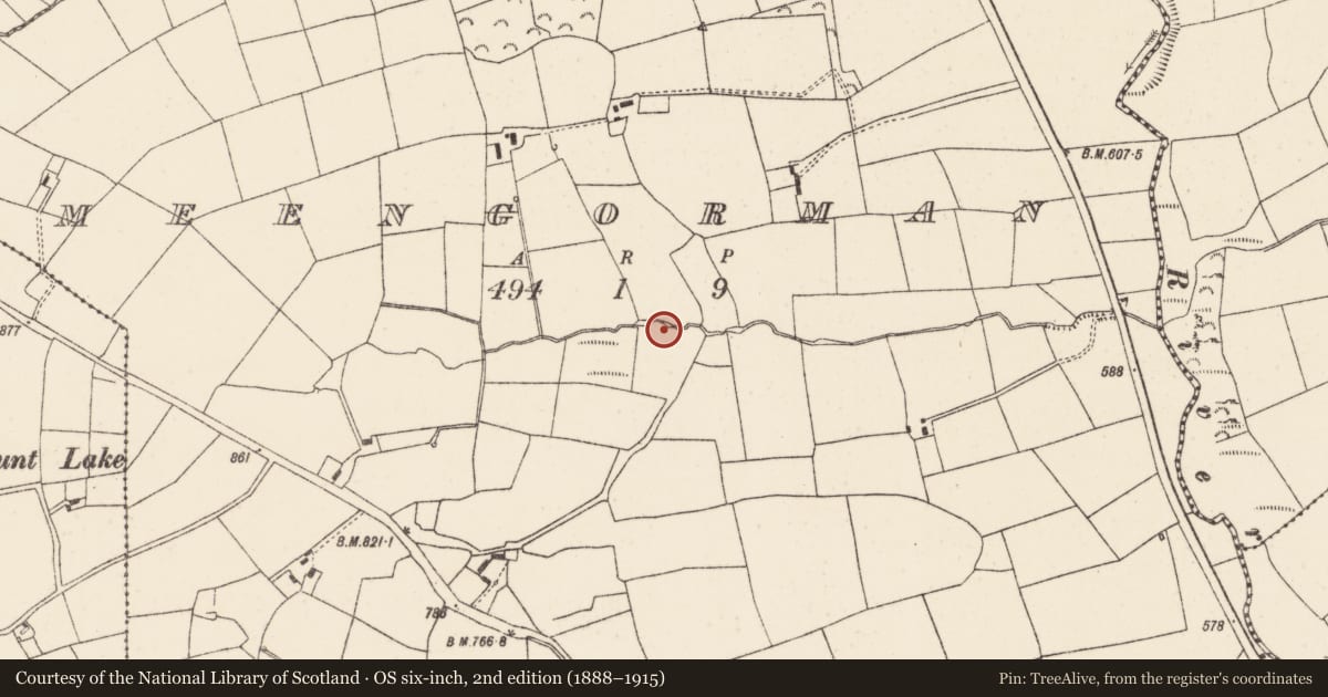 Ordnance Survey six-inch map, 2nd edition (1888–1915) covering the location of Fulacht fia, Meengorman, County Cork, with a pin at the register's coordinates