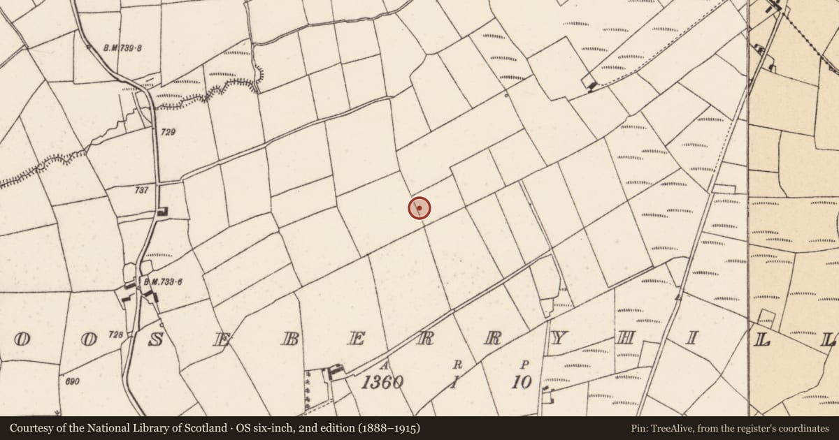 Ordnance Survey six-inch map, 2nd edition (1888–1915) covering the location of Linear earthwork, Gooseberryhill, County Cork, with a pin at the register's coordinates