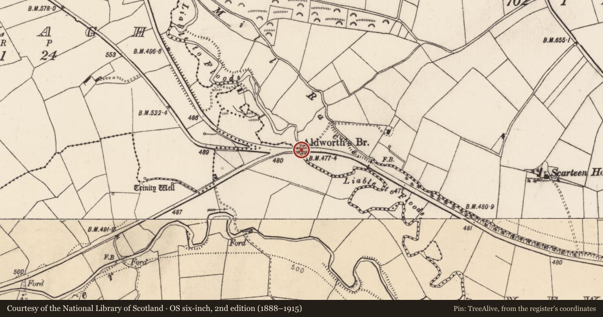 Ordnance Survey six-inch map, 2nd edition (1888–1915) covering the location of Bridge, Curraduff, Scarteen Lower, County Cork, with a pin at the register's coordinates