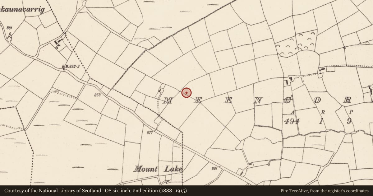 Ordnance Survey six-inch map, 2nd edition (1888–1915) covering the location of Barrow - ring-barrow, Meengorman, County Cork, with a pin at the register's coordinates