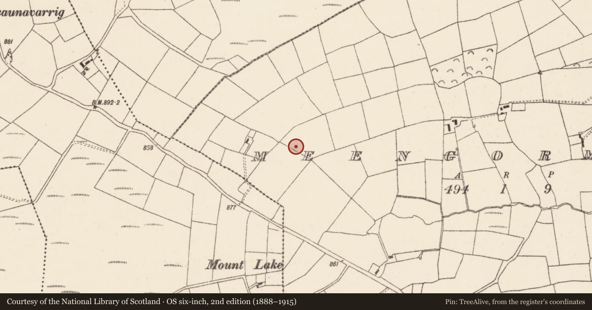 Ordnance Survey six-inch map, 2nd edition (1888–1915) covering the location of Barrow - ring-barrow, Meengorman, County Cork, with a pin at the register's coordinates