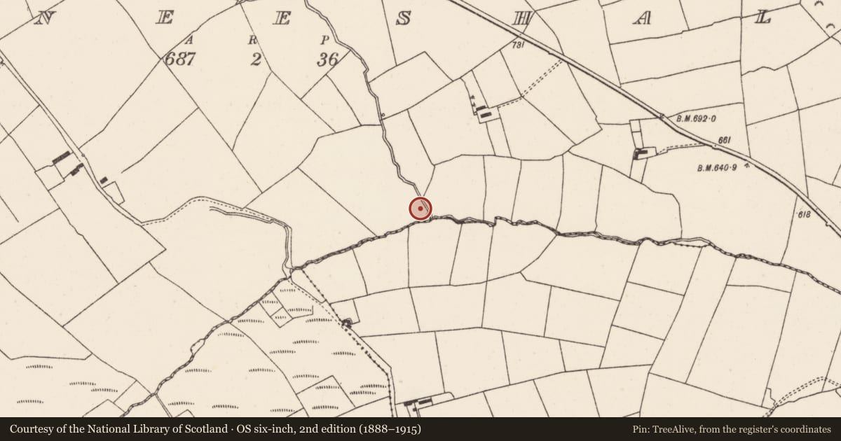 Ordnance Survey six-inch map, 2nd edition (1888–1915) covering the location of Burnt mound, Meeneeshal, County Cork, with a pin at the register's coordinates