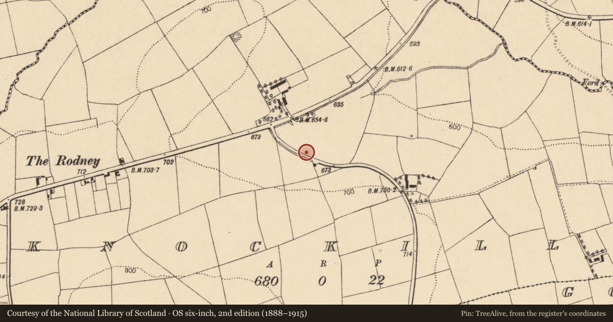 Ordnance Survey six-inch map, 2nd edition (1888–1915) covering the location of Fulacht fia, Knockilly, County Cork, with a pin at the register's coordinates