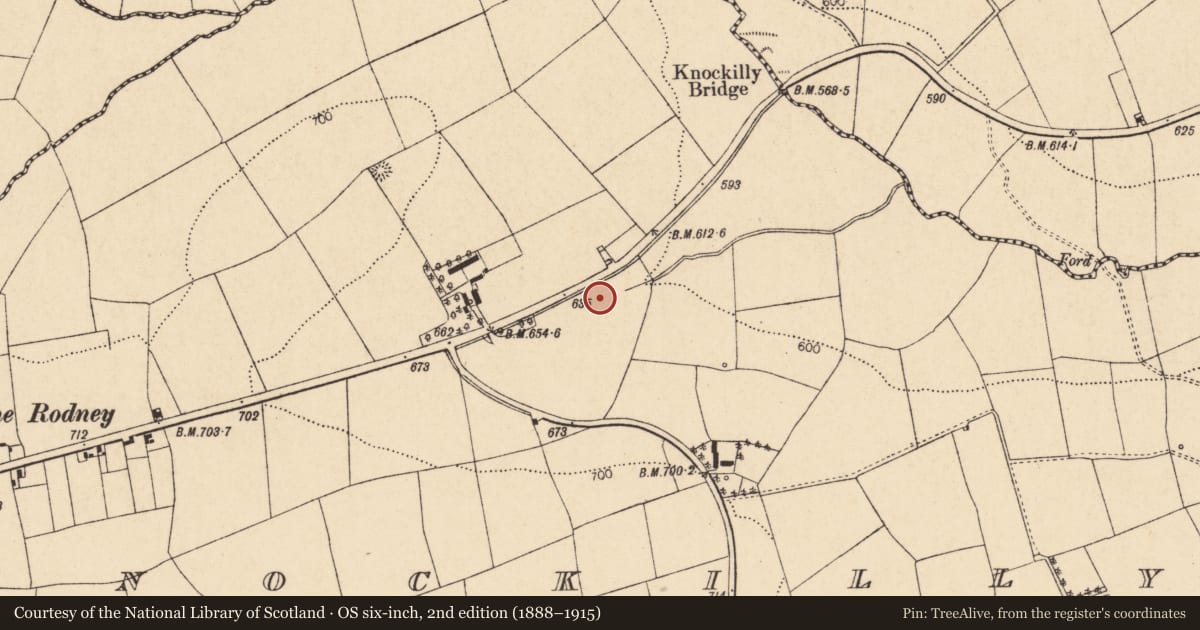 Ordnance Survey six-inch map, 2nd edition (1888–1915) covering the location of Fulacht fia, Knockilly, County Cork, with a pin at the register's coordinates