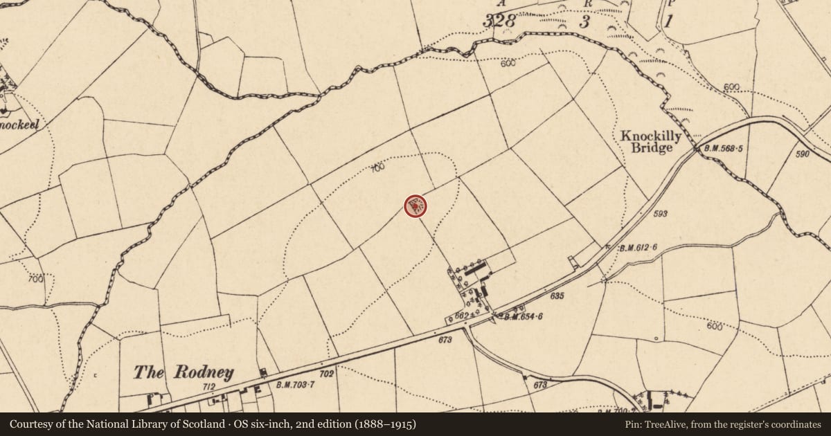 Ordnance Survey six-inch map, 2nd edition (1888–1915) covering the location of Barrow - ring-barrow, Knockilly, County Cork, with a pin at the register's coordinates