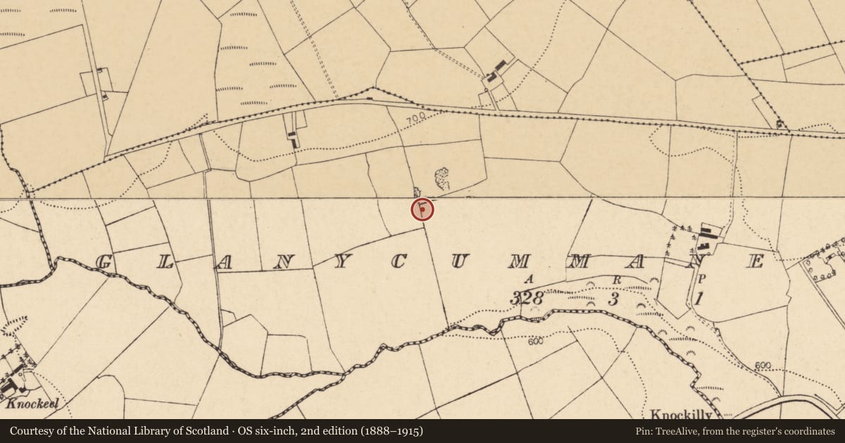 Ordnance Survey six-inch map, 2nd edition (1888–1915) covering the location of Fulacht fia, Glanycummane Upper, County Cork, with a pin at the register's coordinates
