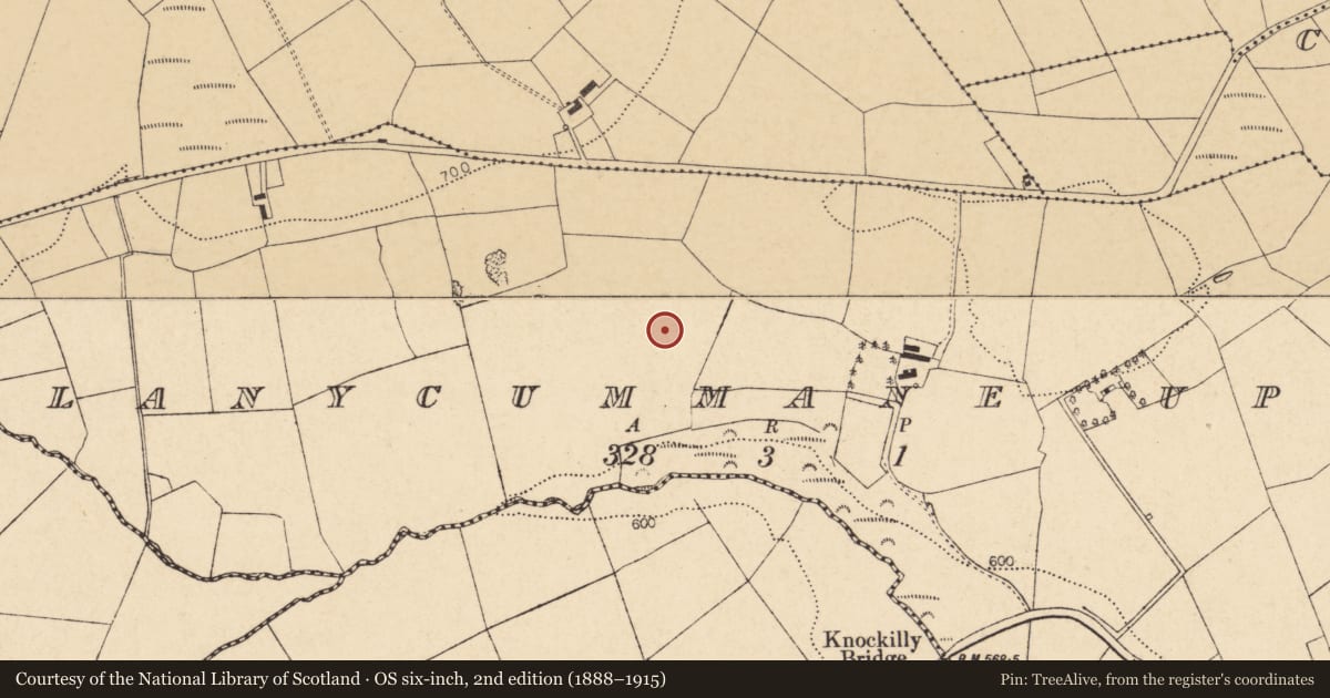 Ordnance Survey six-inch map, 2nd edition (1888–1915) covering the location of Fulacht fia, Glanycummane Upper, County Cork, with a pin at the register's coordinates