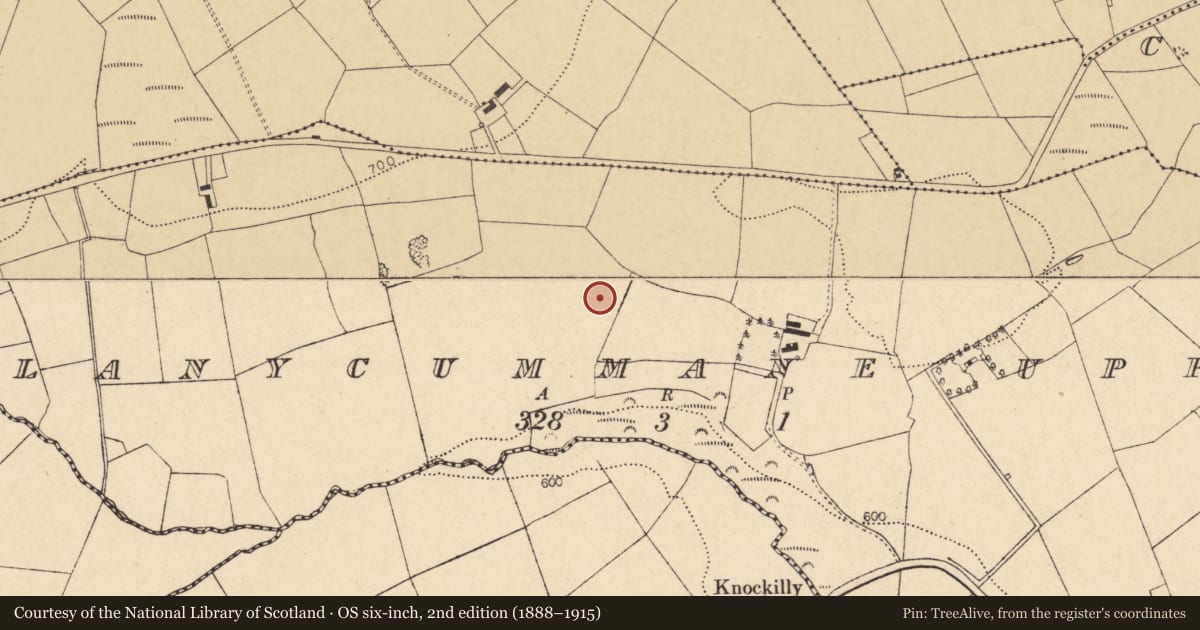 Ordnance Survey six-inch map, 2nd edition (1888–1915) covering the location of Fulacht fia, Glanycummane Upper, County Cork, with a pin at the register's coordinates