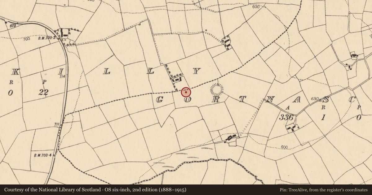 Ordnance Survey six-inch map, 2nd edition (1888–1915) covering the location of Fulacht fia, Gortnascregga, County Cork, with a pin at the register's coordinates