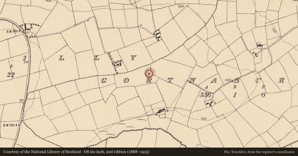 Ordnance Survey six-inch map, 2nd edition (1888–1915) covering the location of Ringfort - rath, Gortnascregga, County Cork, with a pin at the register's coordinates