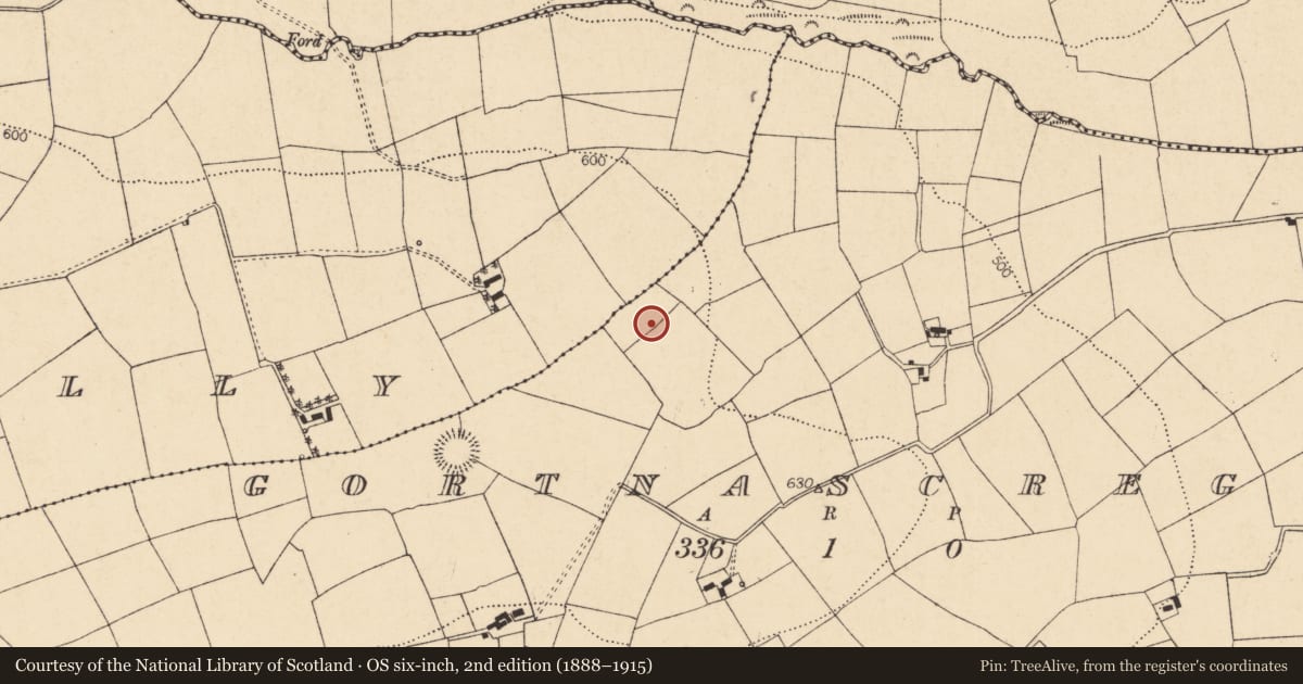 Ordnance Survey six-inch map, 2nd edition (1888–1915) covering the location of Fulacht fia, Gortnascregga, County Cork, with a pin at the register's coordinates