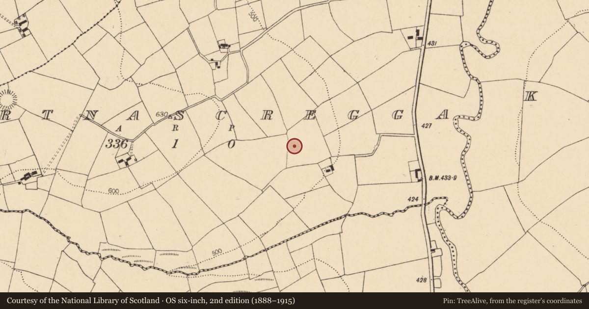 Ordnance Survey six-inch map, 2nd edition (1888–1915) covering the location of Fulacht fia, Gortnascregga, County Cork, with a pin at the register's coordinates