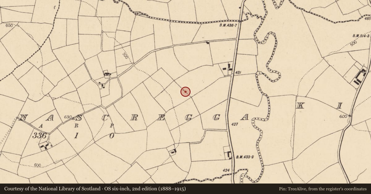 Ordnance Survey six-inch map, 2nd edition (1888–1915) covering the location of Fulacht fia, Gortnascregga, County Cork, with a pin at the register's coordinates