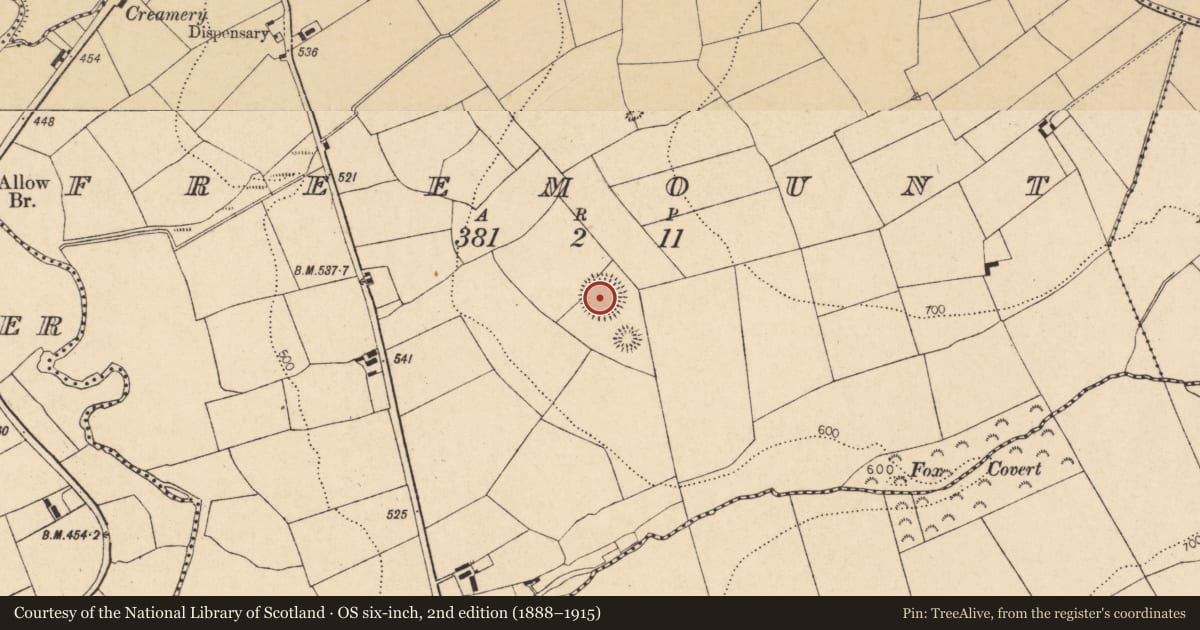 Ordnance Survey six-inch map, 2nd edition (1888–1915) covering the location of Ringfort - rath, Freemount, County Cork, with a pin at the register's coordinates
