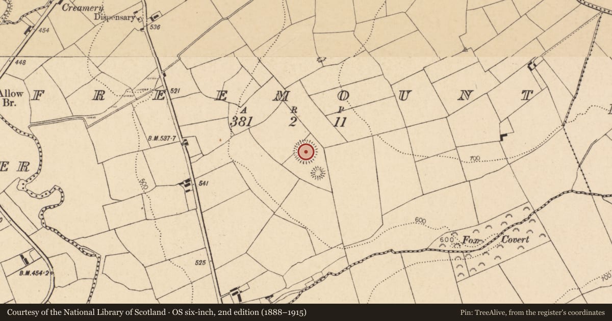 Ordnance Survey six-inch map, 2nd edition (1888–1915) covering the location of Church, Freemount, County Cork, with a pin at the register's coordinates