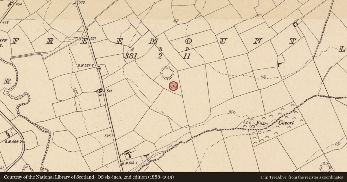 Ordnance Survey six-inch map, 2nd edition (1888–1915) covering the location of Souterrain, Freemount, County Cork, with a pin at the register's coordinates