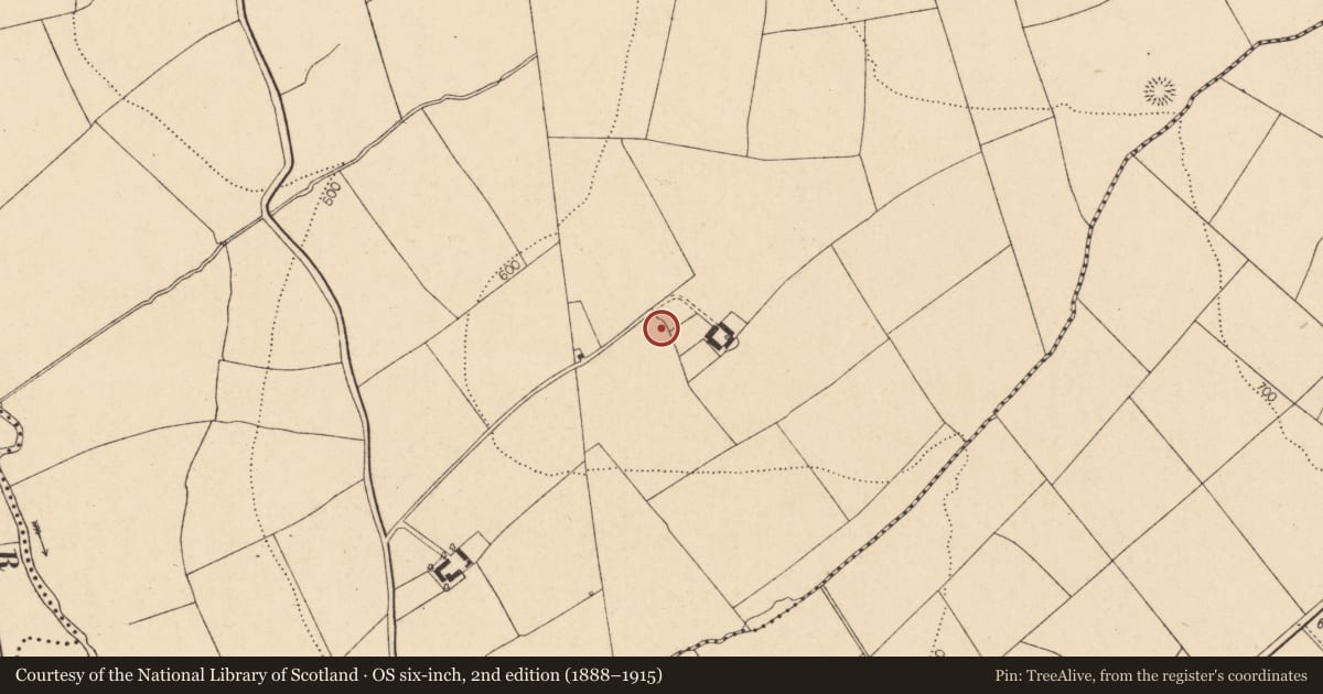 Ordnance Survey six-inch map, 2nd edition (1888–1915) covering the location of Ringfort - rath, Kilberrihert, County Cork, with a pin at the register's coordinates