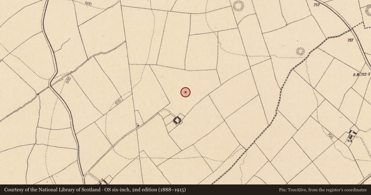 Ordnance Survey six-inch map, 2nd edition (1888–1915) covering the location of Fulacht fia, Kilberrihert, County Cork, with a pin at the register's coordinates