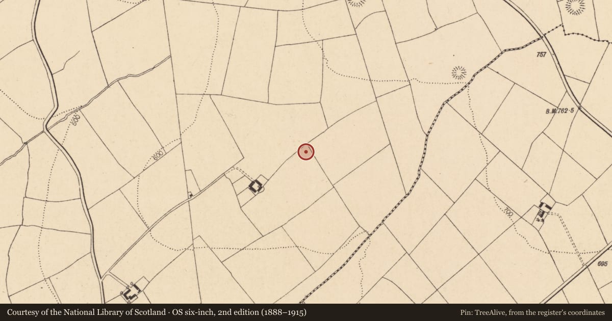 Ordnance Survey six-inch map, 2nd edition (1888–1915) covering the location of Ringfort - rath, Kilberrihert, County Cork, with a pin at the register's coordinates