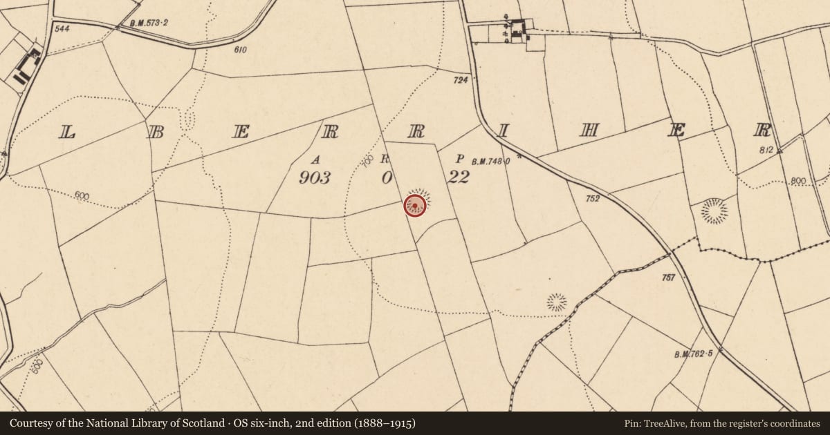Ordnance Survey six-inch map, 2nd edition (1888–1915) covering the location of Ringfort - rath, Kilberrihert, County Cork, with a pin at the register's coordinates