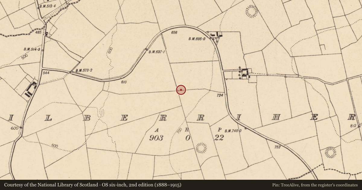 Ordnance Survey six-inch map, 2nd edition (1888–1915) covering the location of Fulacht fia, Kilberrihert, County Cork, with a pin at the register's coordinates