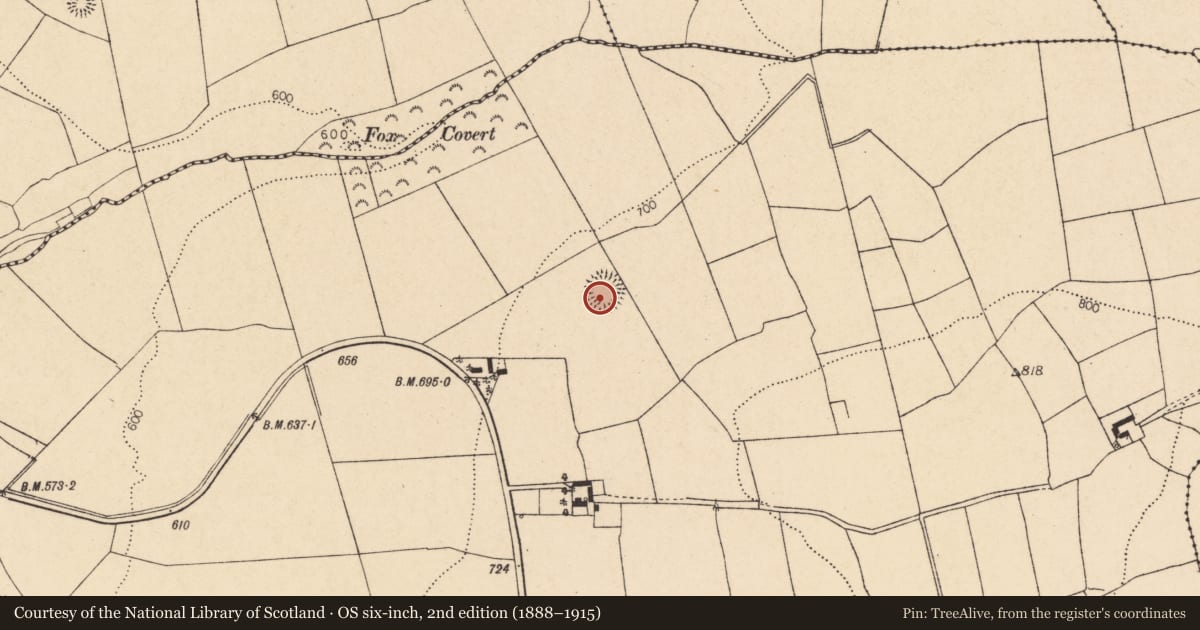 Ordnance Survey six-inch map, 2nd edition (1888–1915) covering the location of Ringfort - rath, Kilberrihert, County Cork, with a pin at the register's coordinates