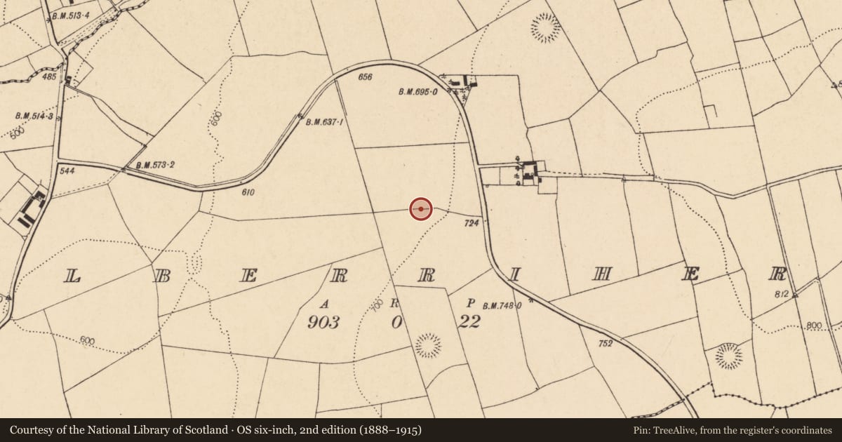 Ordnance Survey six-inch map, 2nd edition (1888–1915) covering the location of Fulacht fia, Kilberrihert, County Cork, with a pin at the register's coordinates