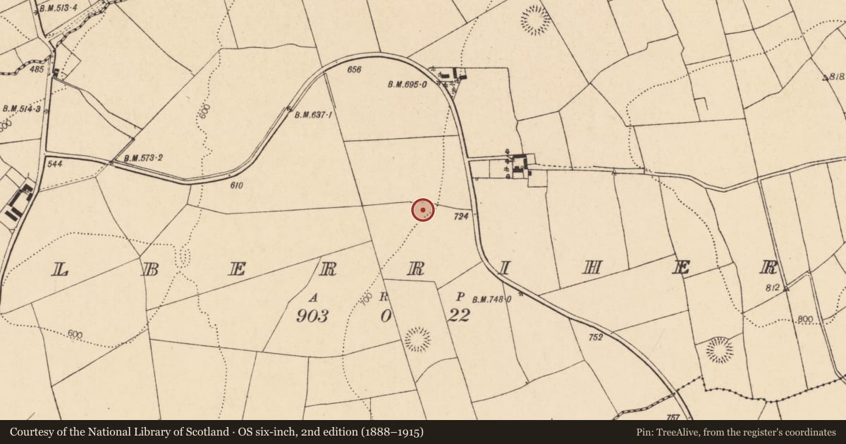 Ordnance Survey six-inch map, 2nd edition (1888–1915) covering the location of Fulacht fia, Kilberrihert, County Cork, with a pin at the register's coordinates