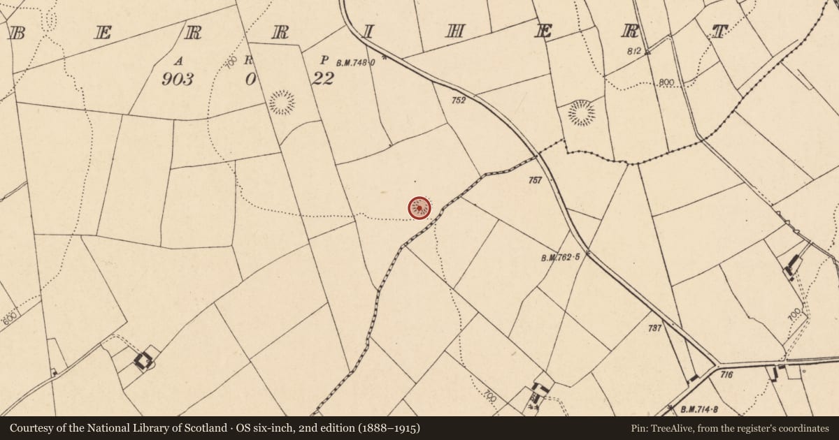 Ordnance Survey six-inch map, 2nd edition (1888–1915) covering the location of Ringfort - rath, Kilberrihert, County Cork, with a pin at the register's coordinates