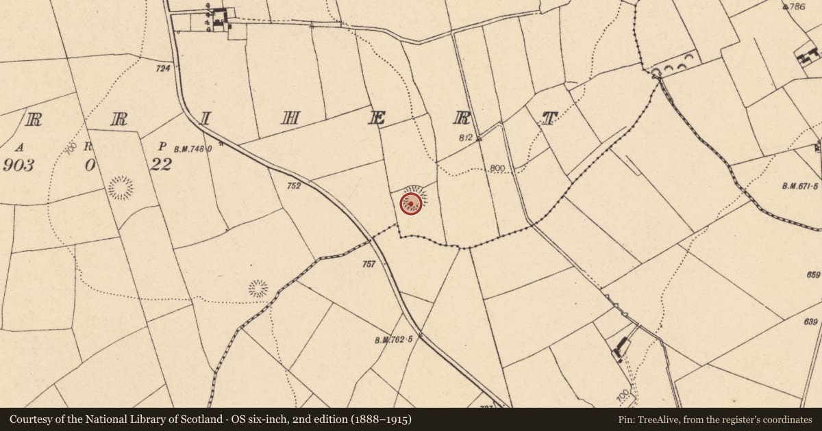 Ordnance Survey six-inch map, 2nd edition (1888–1915) covering the location of Ringfort - rath, Kilberrihert, County Cork, with a pin at the register's coordinates