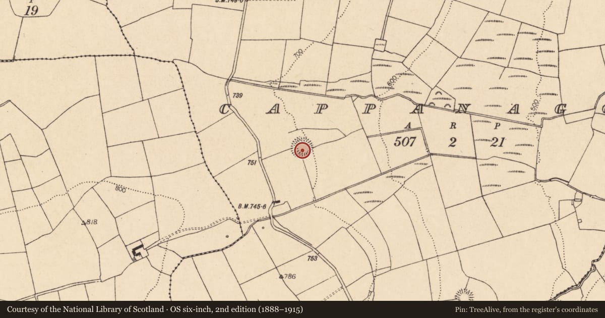 Ordnance Survey six-inch map, 2nd edition (1888–1915) covering the location of Ringfort - rath, Cappanagoul, County Cork, with a pin at the register's coordinates