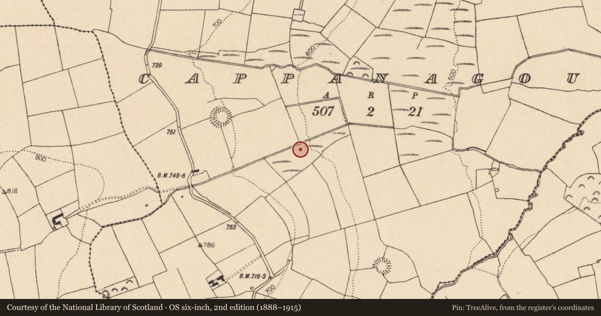 Ordnance Survey six-inch map, 2nd edition (1888–1915) covering the location of Ringfort - rath, Cappanagoul, County Cork, with a pin at the register's coordinates