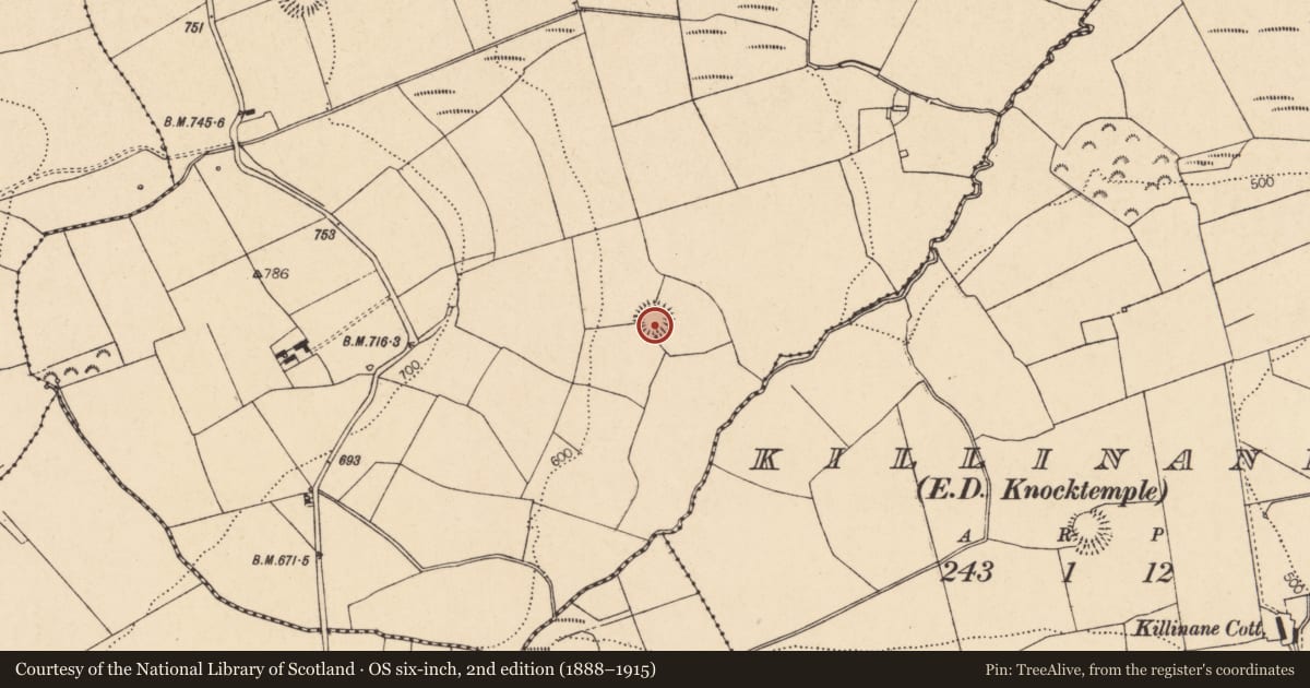 Ordnance Survey six-inch map, 2nd edition (1888–1915) covering the location of Ringfort - rath, Cappanagoul, County Cork, with a pin at the register's coordinates