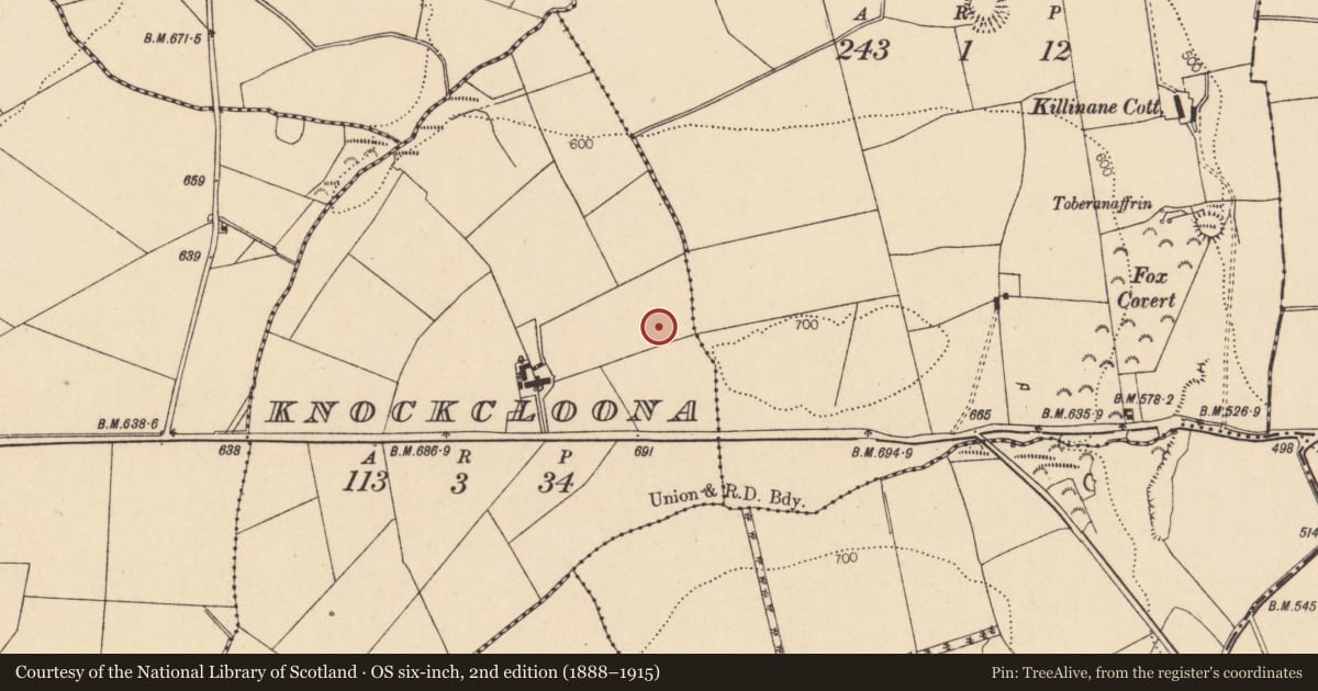 Ordnance Survey six-inch map, 2nd edition (1888–1915) covering the location of Fulacht fia, Knockcloona, County Cork, with a pin at the register's coordinates