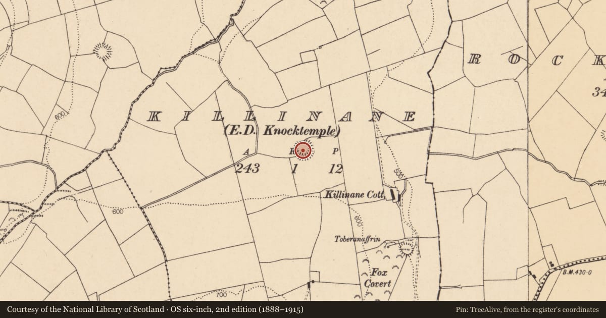 Ordnance Survey six-inch map, 2nd edition (1888–1915) covering the location of Ringfort - rath, Killinane (Duhallow By., Knocktemple Par.), County Cork, with a pin at the register's coordinates