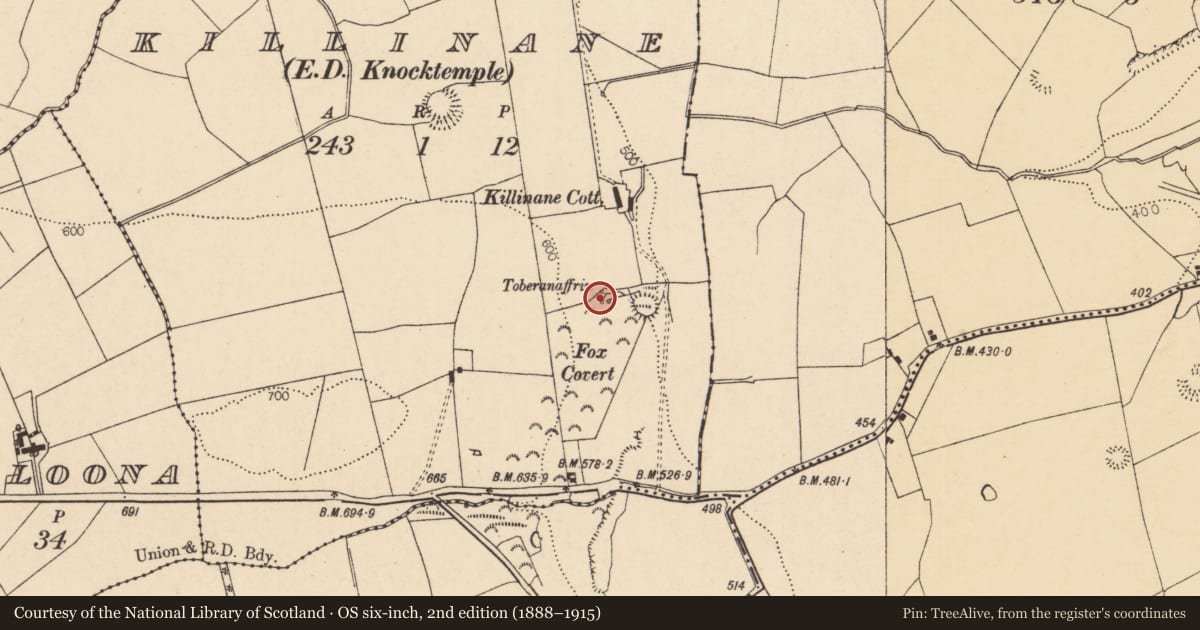 Ordnance Survey six-inch map, 2nd edition (1888–1915) covering the location of Ritual site - holy well, Killinane (Duhallow By., Knocktemple Par.), County Cork, with a pin at the register's coordinates
