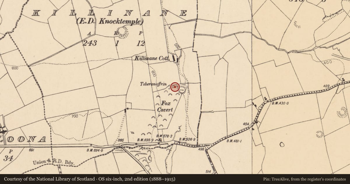 Ordnance Survey six-inch map, 2nd edition (1888–1915) covering the location of Fulacht fia, Killinane (Duhallow By., Knocktemple Par.), County Cork, with a pin at the register's coordinates